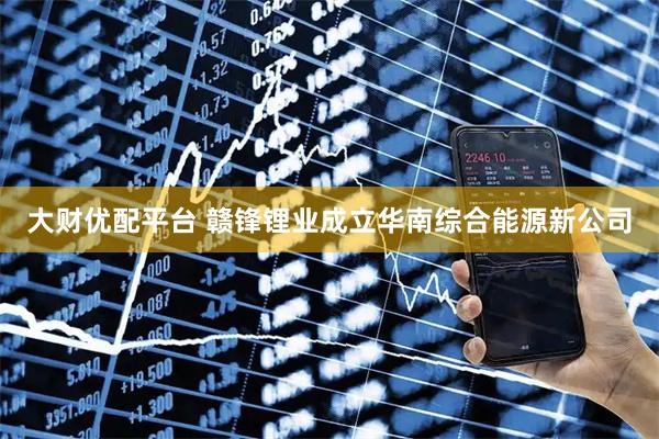 大财优配平台 赣锋锂业成立华南综合能源新公司